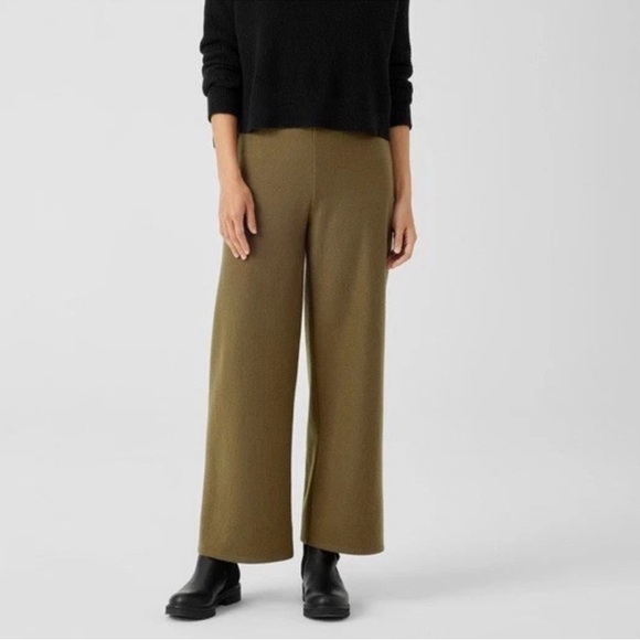 NWOT Eileen Fisher Boiled Wool Jersey Wide-Leg Pant In Green Size Small Petite - Picture 1 of 10